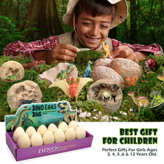 Aimiffy 12 egg set with digging tools invites hands on science exploration.