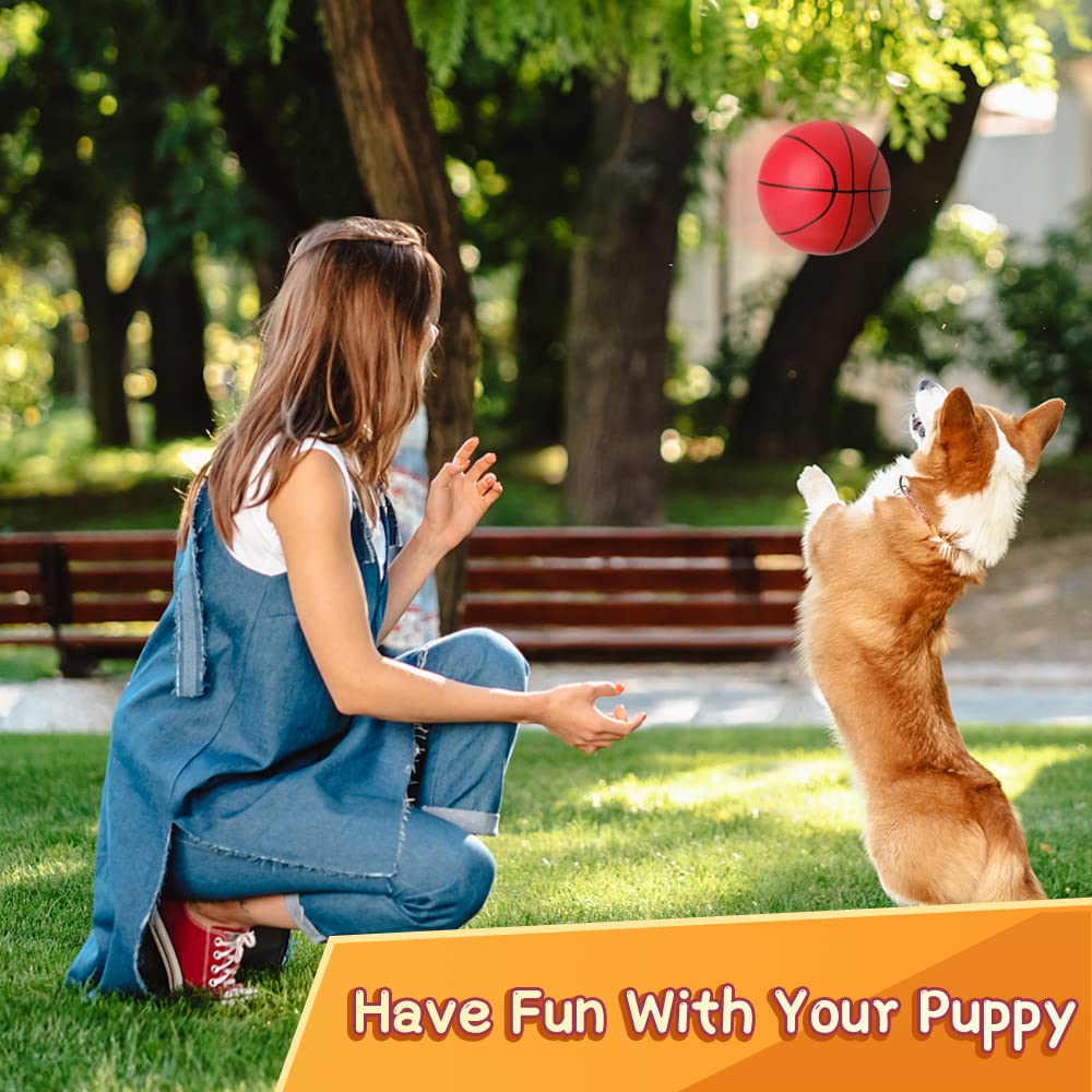 Amarlozn rainbow mini basketballs showcase vibrant colors for social play and family fun.
