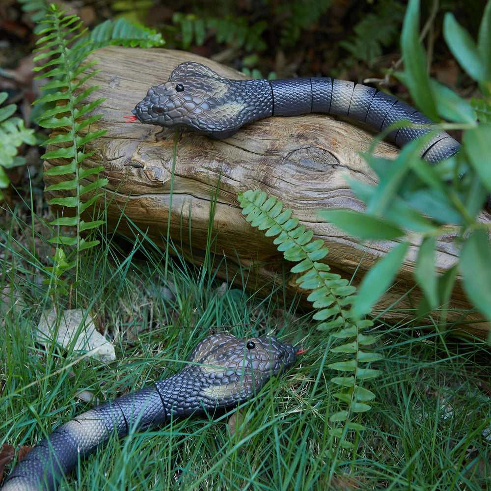 AMCHSURI RC snake side profile highlighting realistic scales for indoor play