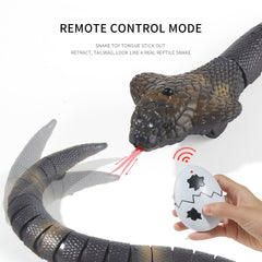AMCHSURI remote snake in action during auto mode for spontaneous fun
