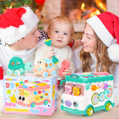 AmiDear two-vehicle Turtle and Truck styles encourage active push-and-go exploration.
