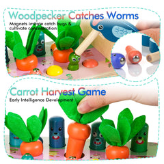 Amtreen carrot harvest image supports counting and cause-and-effect exploration.