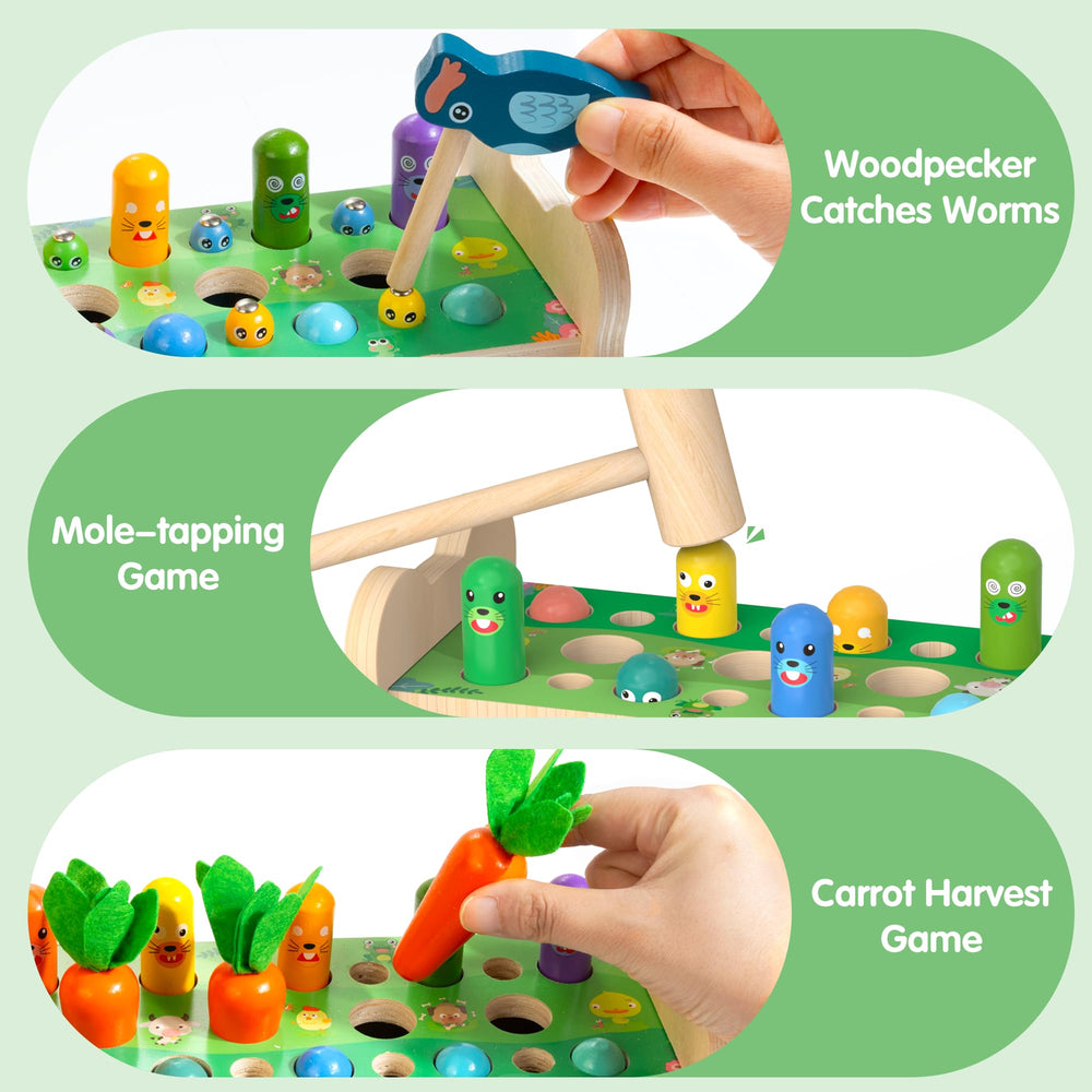 Amtreen clock face with numbers, aids number recognition and time concepts