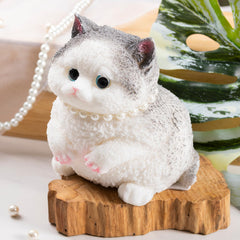 ANAOTA Taba Squishy Paw packaging and set presentation