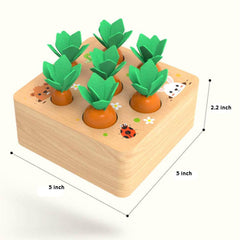 Ancaixin baby shape-sorting puzzle builds hand-eye coordination through engaging, safe wooden components.