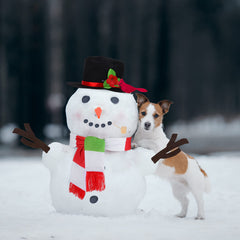 Aneco snowman kit wooden pipe completes a classic look.