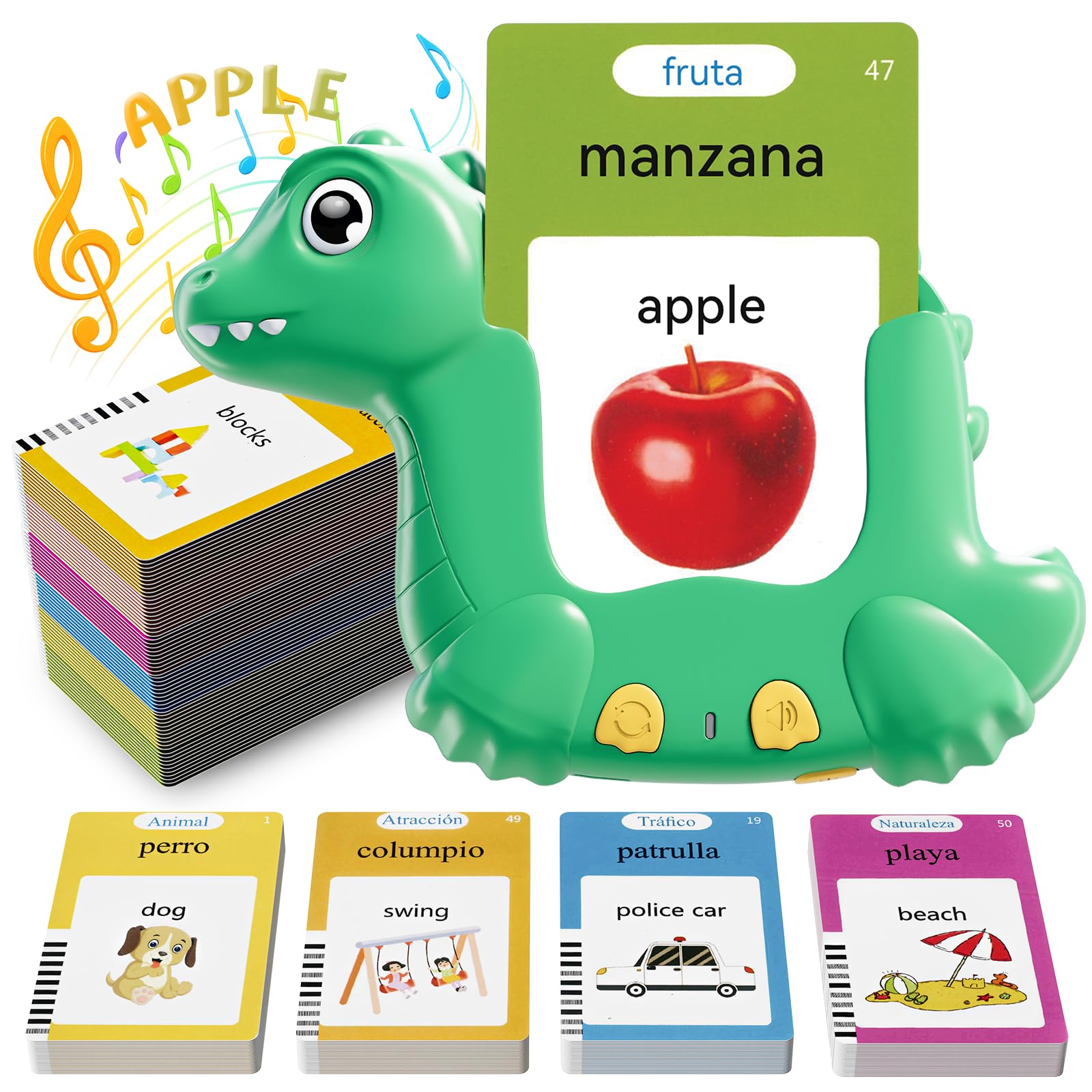 ANhovno dinosaur flash cards in English and Spanish aid bilingual word recognition.