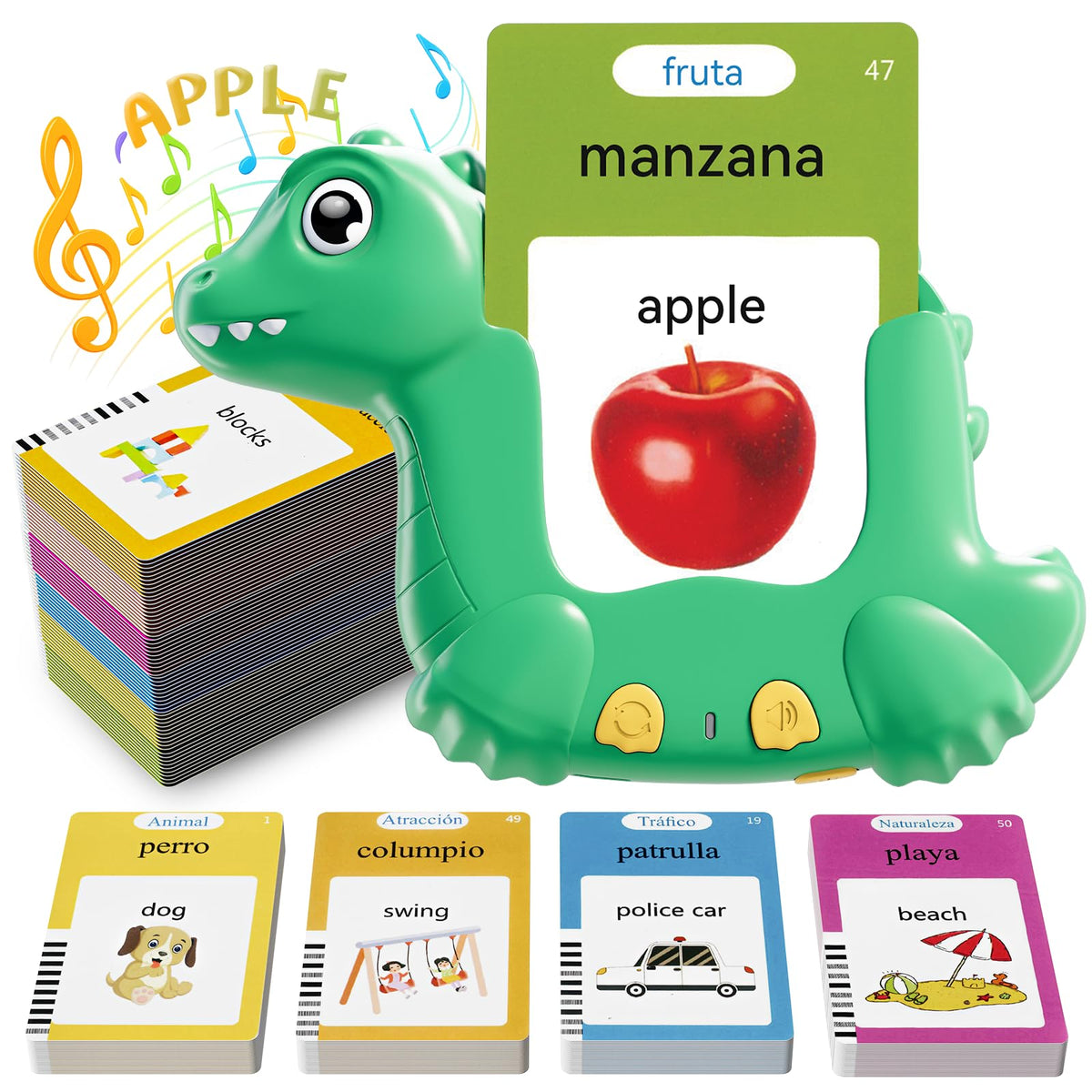 ANhovno dinosaur flash cards in English and Spanish aid bilingual word recognition.