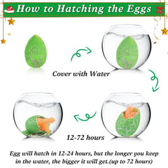 ANPHILE classroom gift idea with dinosaur egg treasure.