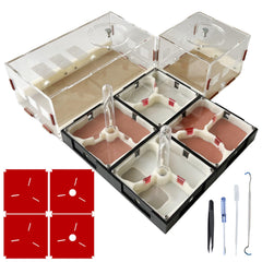 Ants Footsteps ant farm nest assembly offers clear view for observing construction.