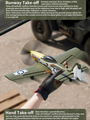 ANTSIR P51 WWII Mustang-inspired paint improves visibility.