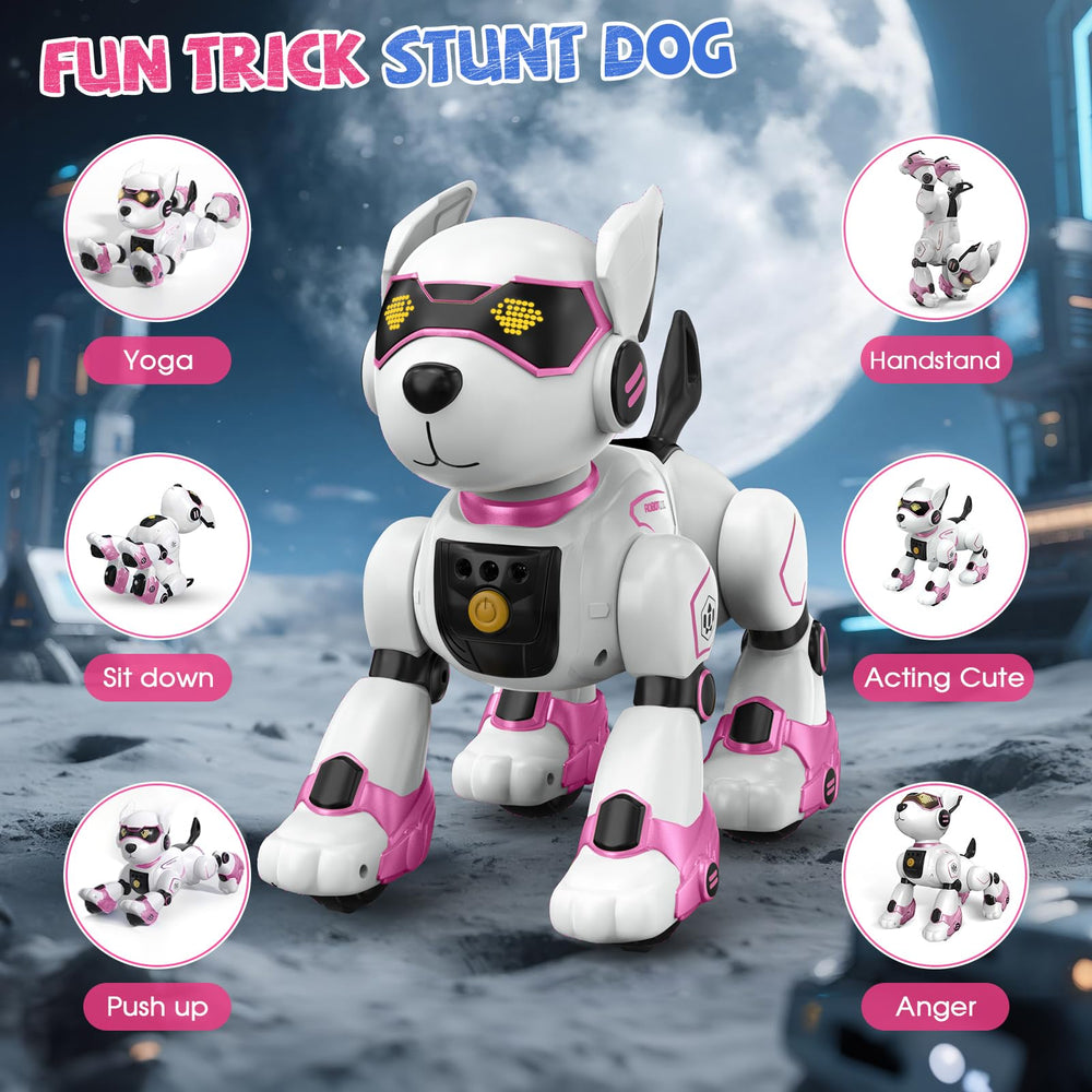 AnySun Robot Dog supports creative programming for STEM learning