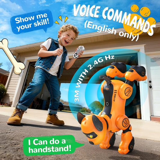 anysun robot dog toy remote control action demonstrates guided play