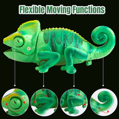 Aontess gift-ready packaging makes this toy ideal for birthdays.