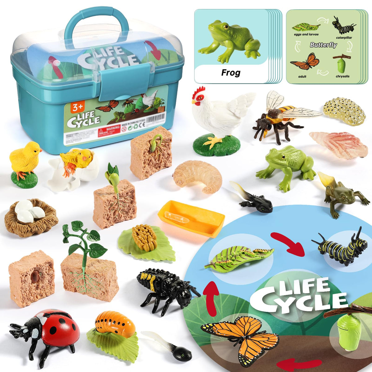 Aprilwolf Life Cycle Kit butterfly figure supports early science exploration and inquiry.
