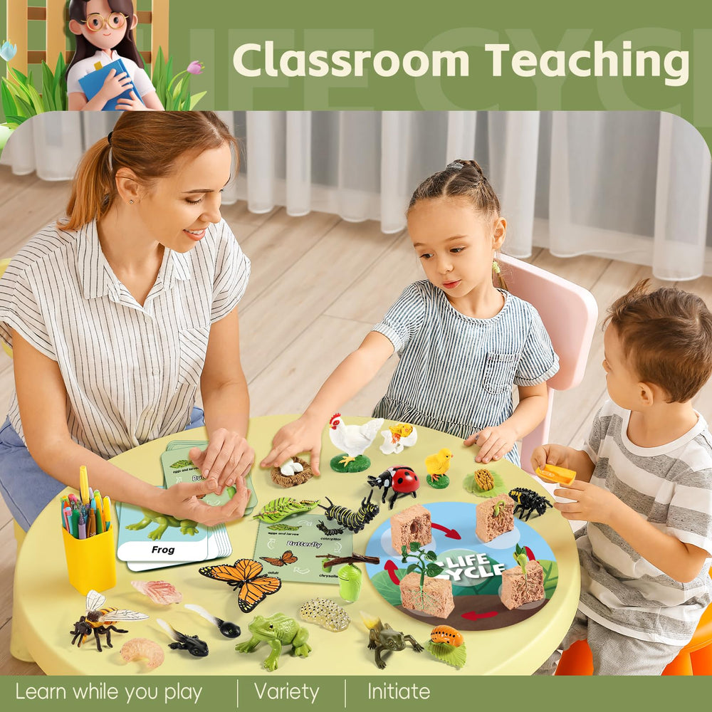 Aprilwolf Life Cycle Kit frog figure makes metamorphosis concepts tangible.