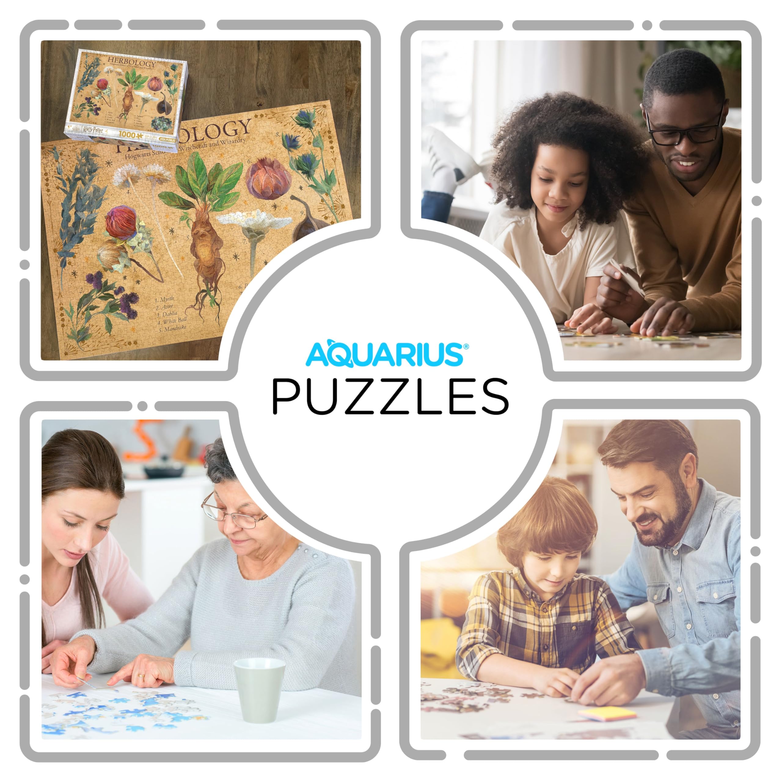 AQUARIUS Harry Potter Herbology puzzle on nightstand for family game night