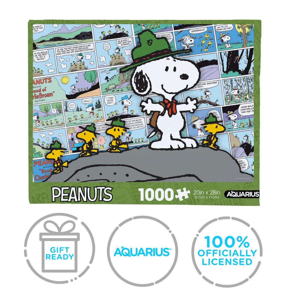 AQUARIUS wall-display-ready puzzle presentation for Shelved collection.