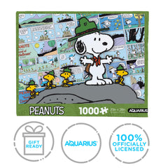 AQUARIUS wall-display-ready puzzle presentation for Shelved collection.