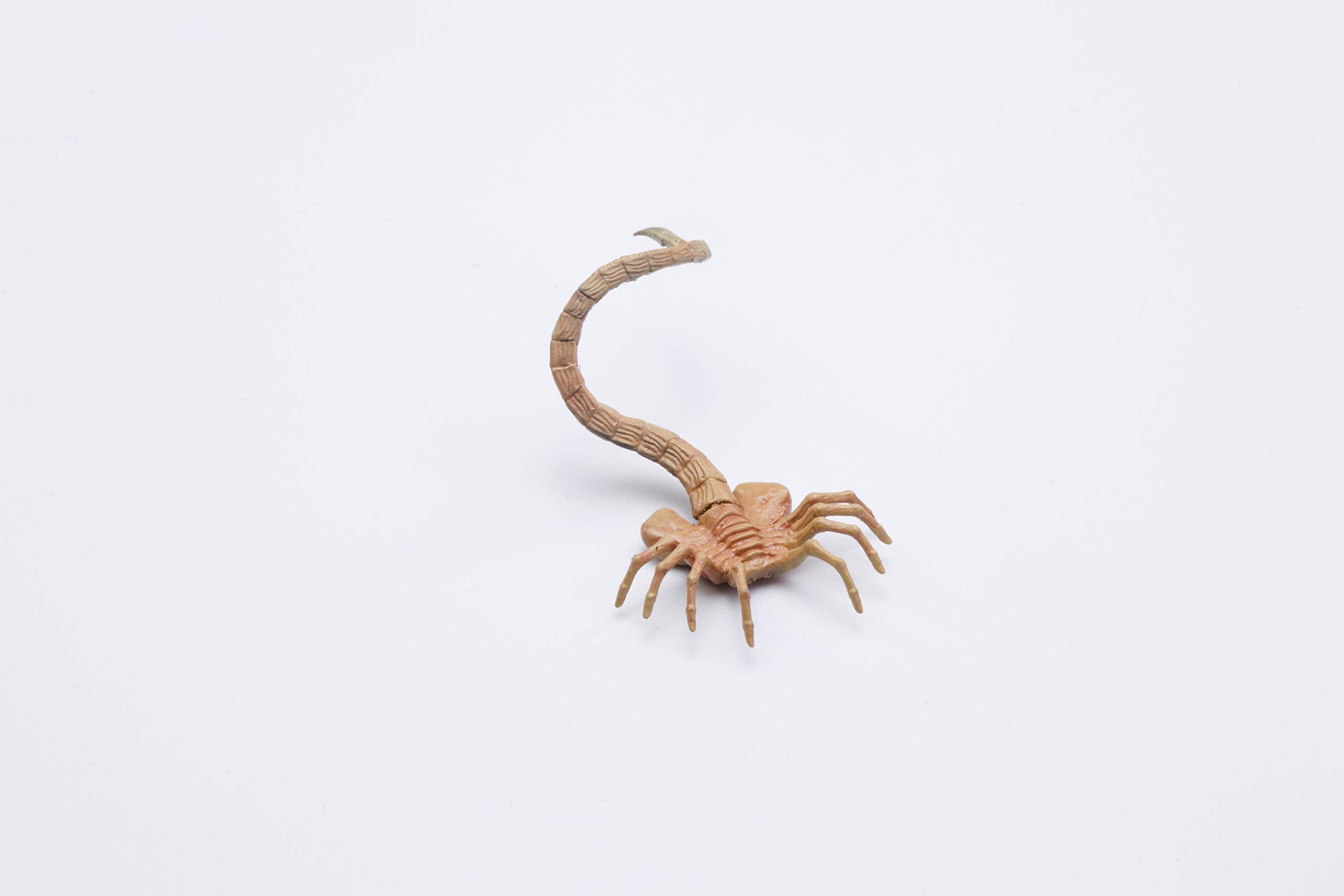 Hiya Toys Exquisite Mini Series ready for photography and collection display.
