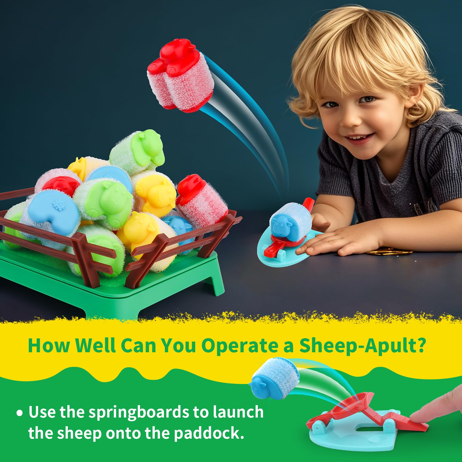 ARHEQI launchers and paddock shown for safe, simple play.