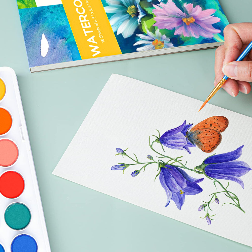 AROIC watercolor kit suitable for beginners and hobby artists.