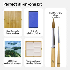 ARTISTRO Hannah M.P removable mixing tray for easy color testing