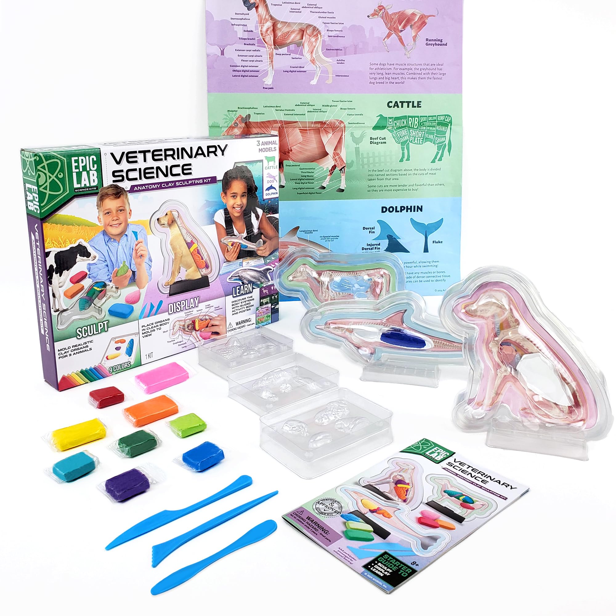 ArtSkills Epic Lab Vet Kit box showcasing hands-on anatomy learning for curious kids