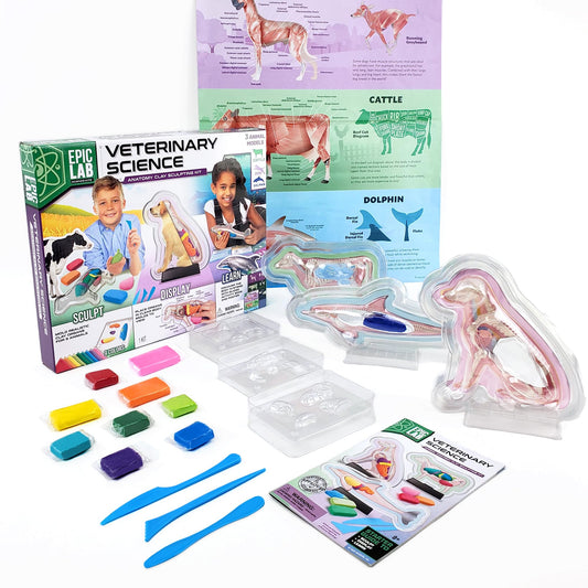 ArtSkills Epic Lab Vet Kit box showcasing hands-on anatomy learning for curious kids
