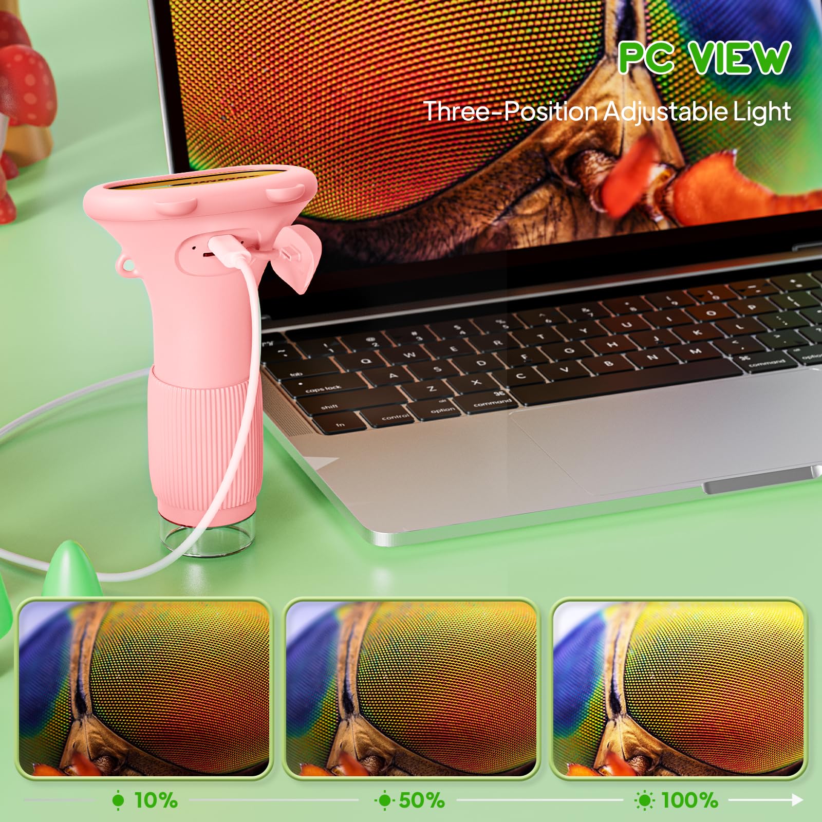 Ashfly computer compatibility lets kids view details on Mac or Windows.