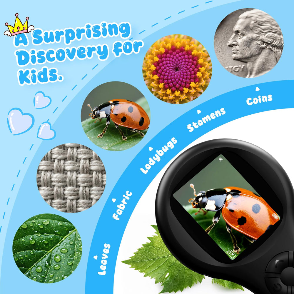 Capture photos and videos directly from the Ashfly microscope for easy sharing.