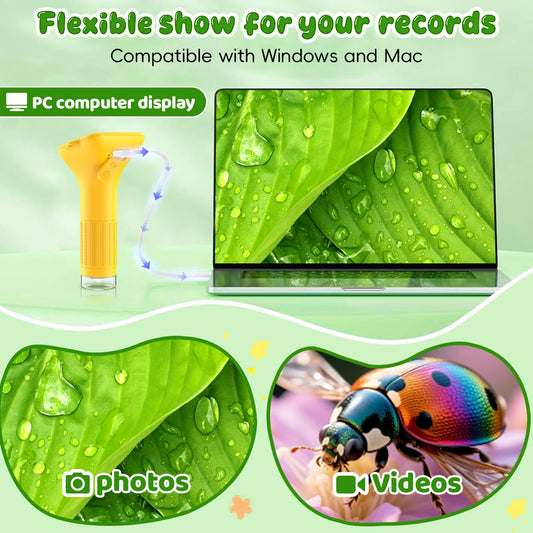 Ashfly Microscope offers up to 1000x magnification for tiny specimens.