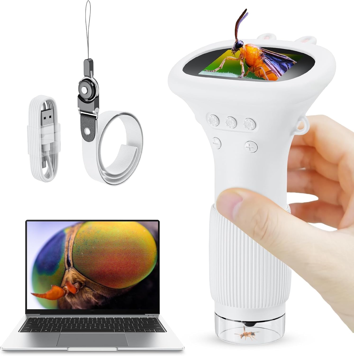 Ashfly kids' microscope with a 2-inch screen offering clear viewing.