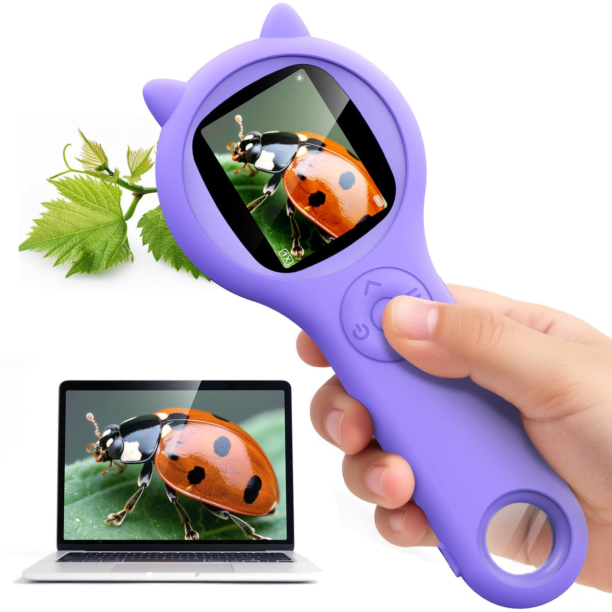 Ashfly Kids Microscope with a 2-inch screen offers clear real-time viewing.
