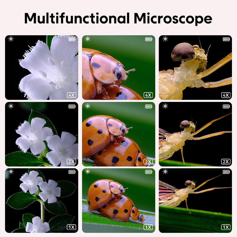 Ashfly Miniscope examining coins and leaves for educational exploration