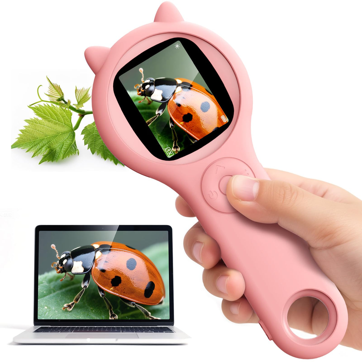 Ashfly portable mini digital microscope shows crisp coin details for curious kids.