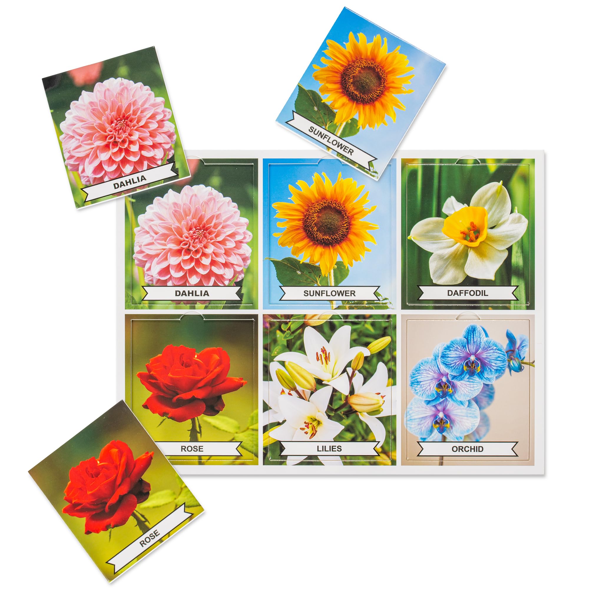 Assistex Matching Game Board Ocean Life: colorful imagery encourages participation