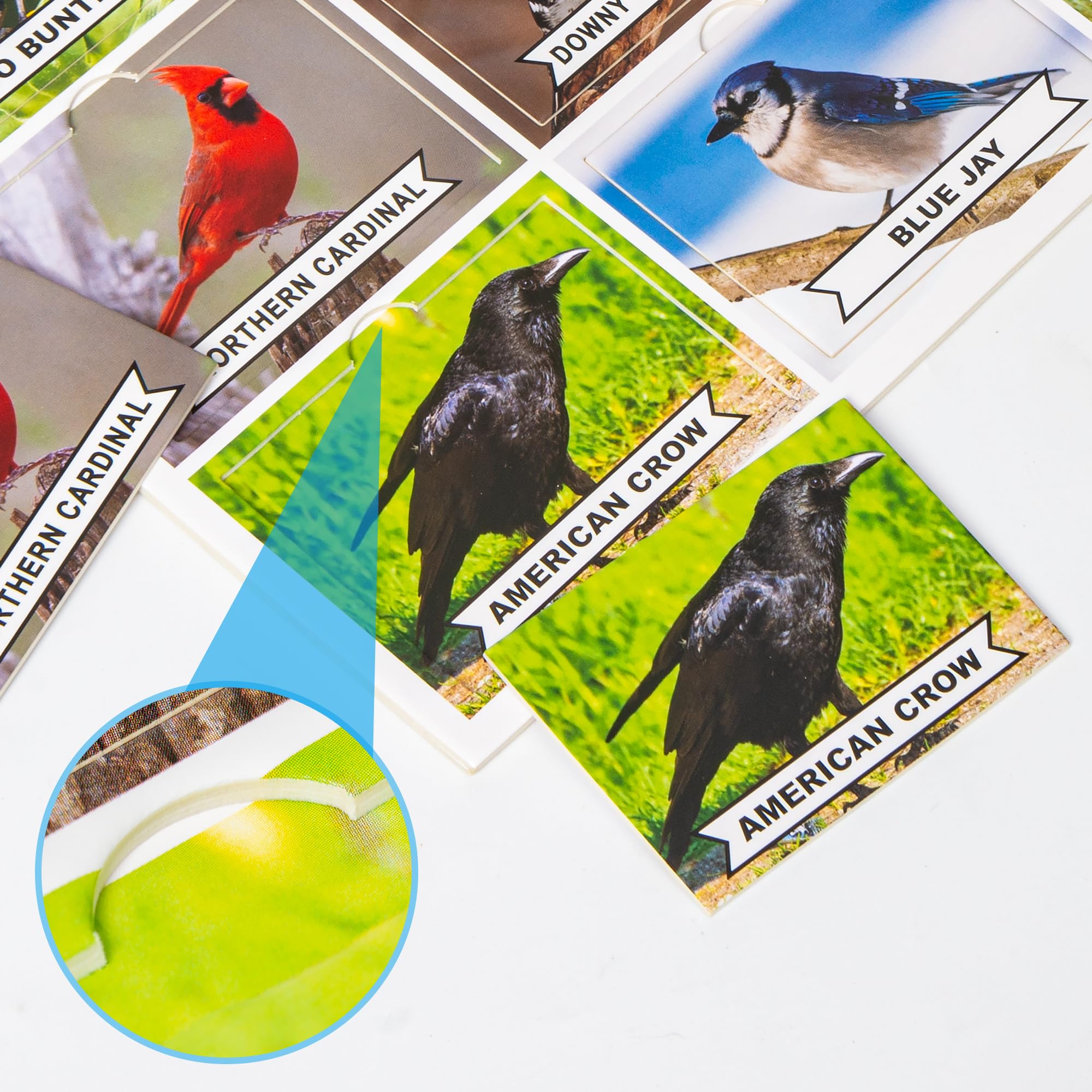 Assistex Matching Game Board Pets: thick cards invite easy handling and independent play