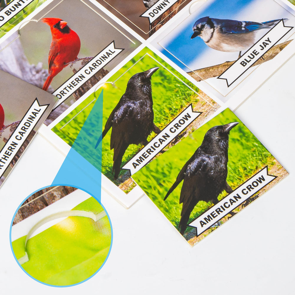 Assistex Matching Game Board Pets: thick cards invite easy handling and independent play