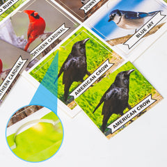 Assistex Matching Game Board Pets: thick cards invite easy handling and independent play