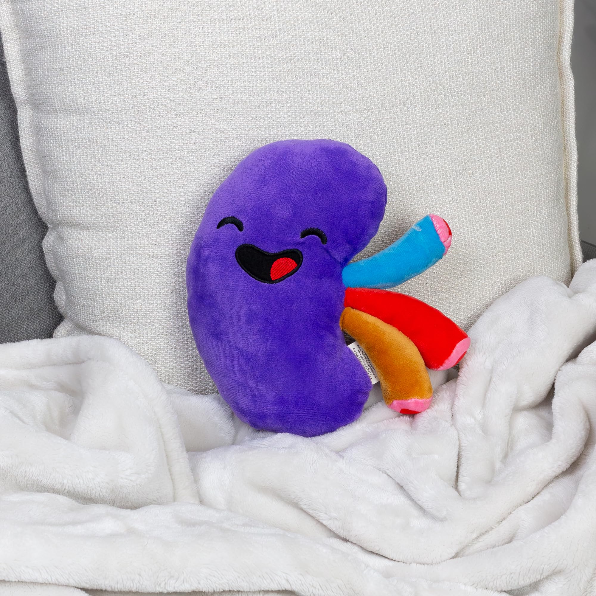 Bright purple kidney plush with colorful accents for children.