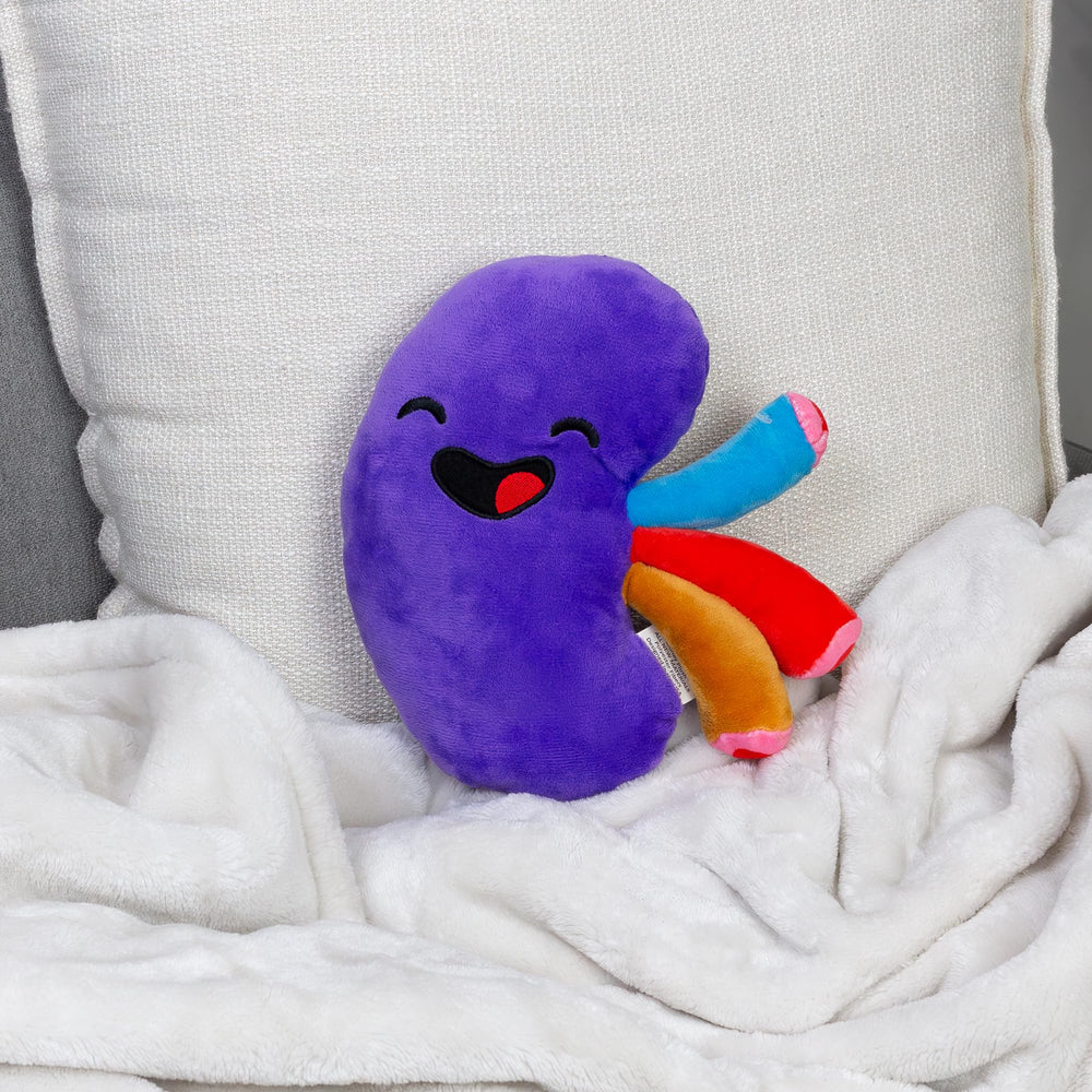 Bright purple kidney plush with colorful accents for children.