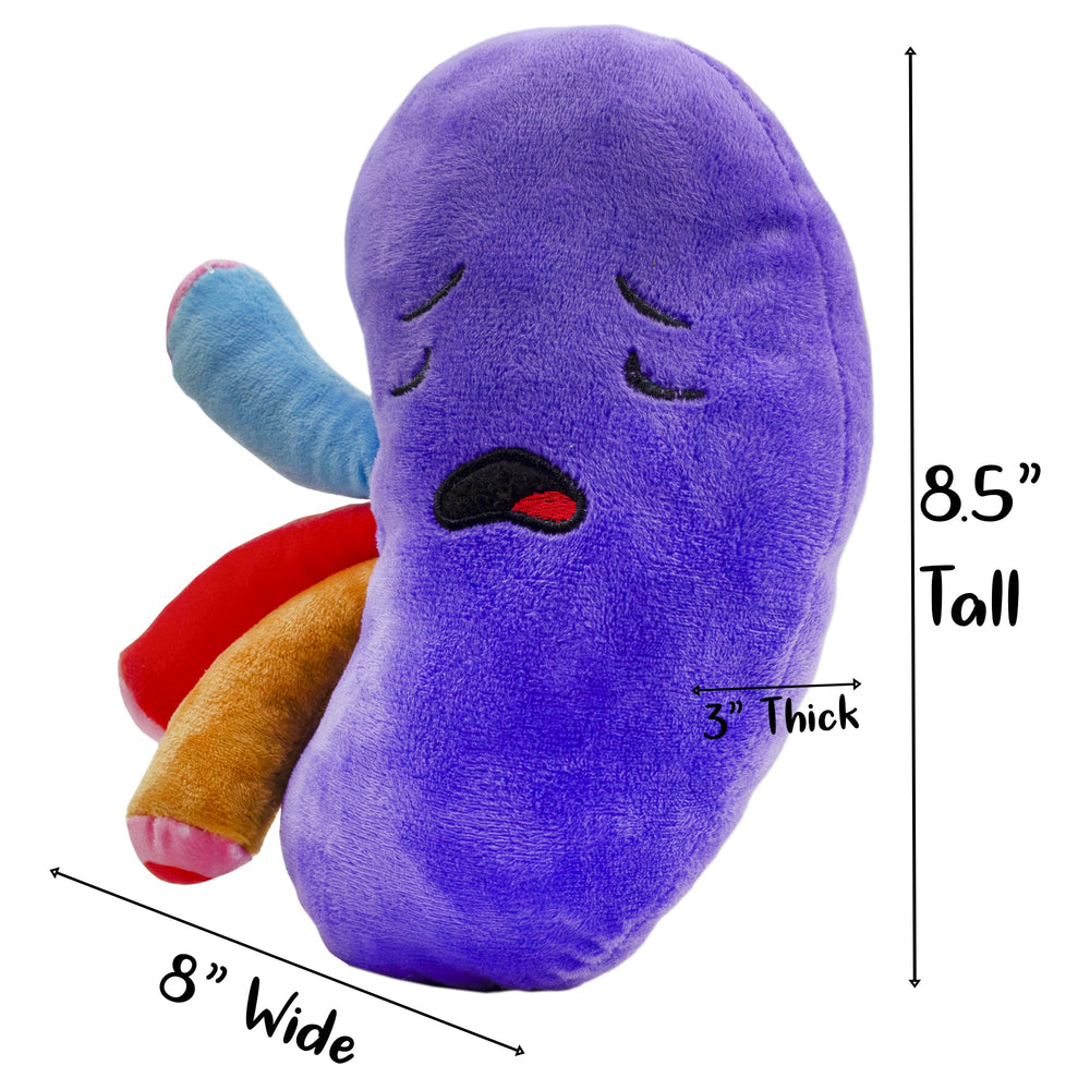 Compact 8.5-inch kidney plush with colorful accents for kids.