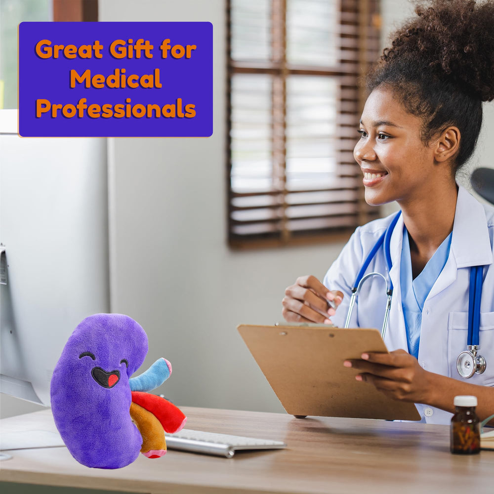Soft Attatoy kidney plush offers tactile comfort and imaginative play.