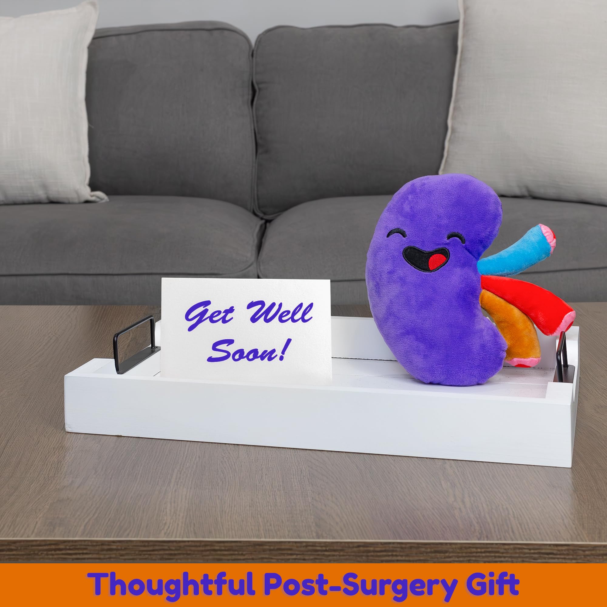 Gift-ready Attatoy kidney plush ideal for after-surgery occasions.