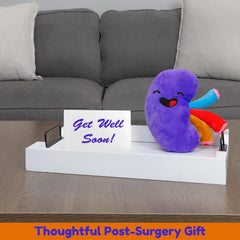 Gift-ready Attatoy kidney plush ideal for after-surgery occasions.