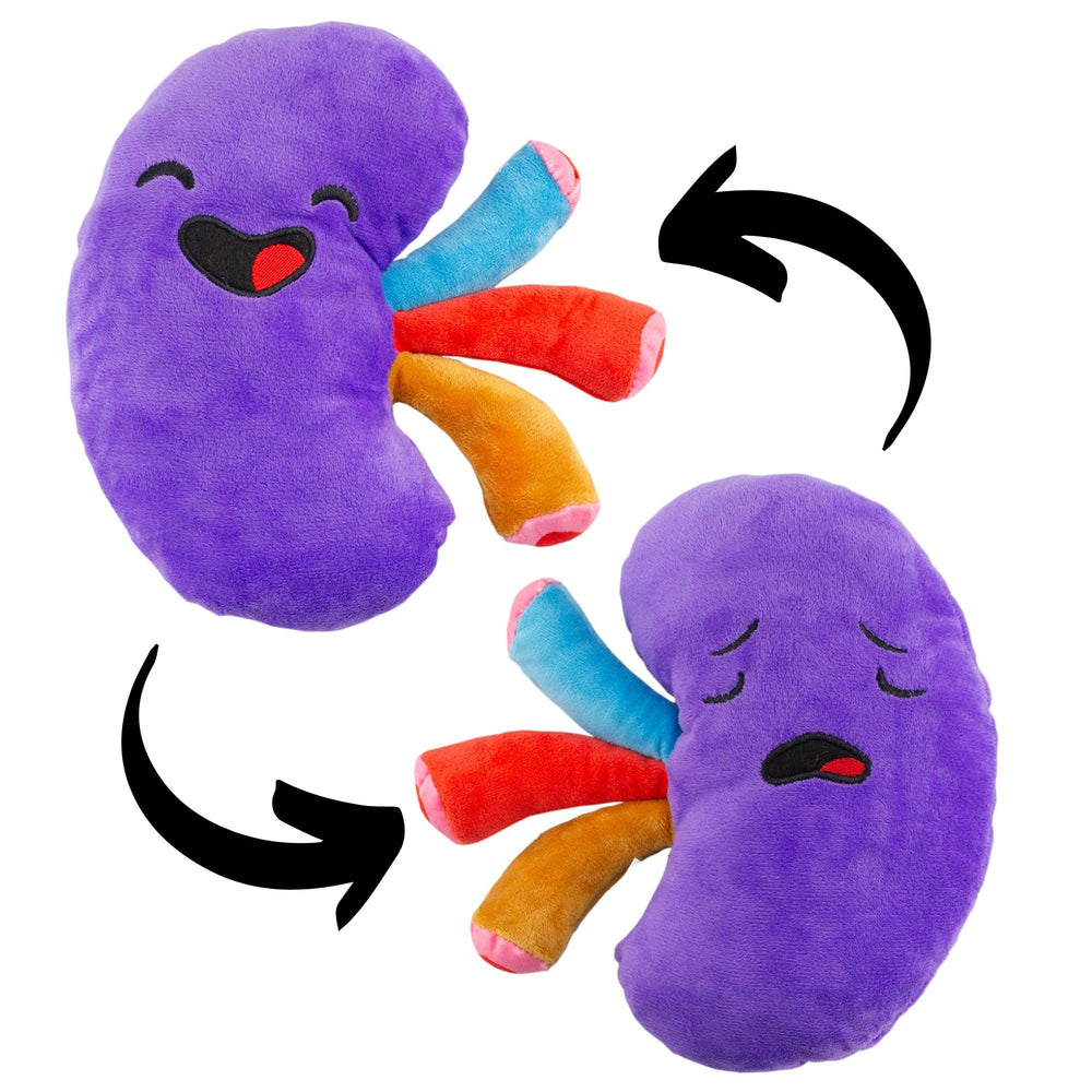 Attatoy kidney plush with reversible face for comfort and education.