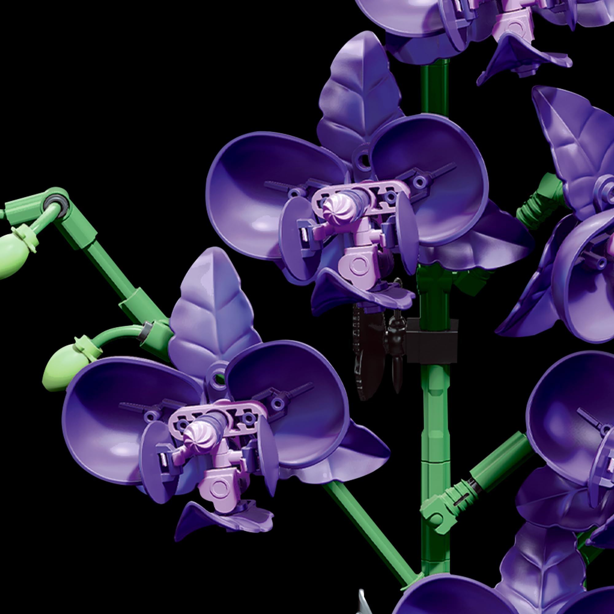 Audaxly Orchid Building Blocks Set gradient petals showcase soft green to violet hues
