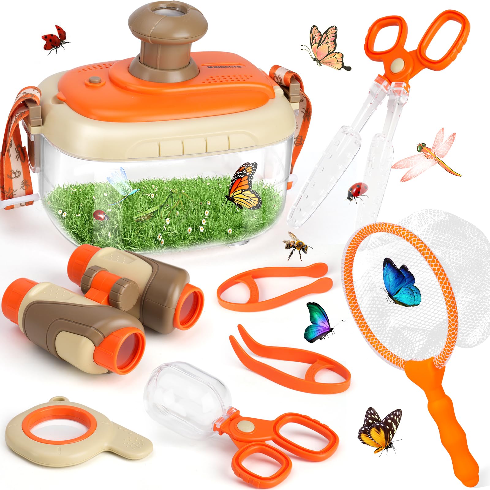 AuntyFey bug catcher net in action helps kids observe insects safely.