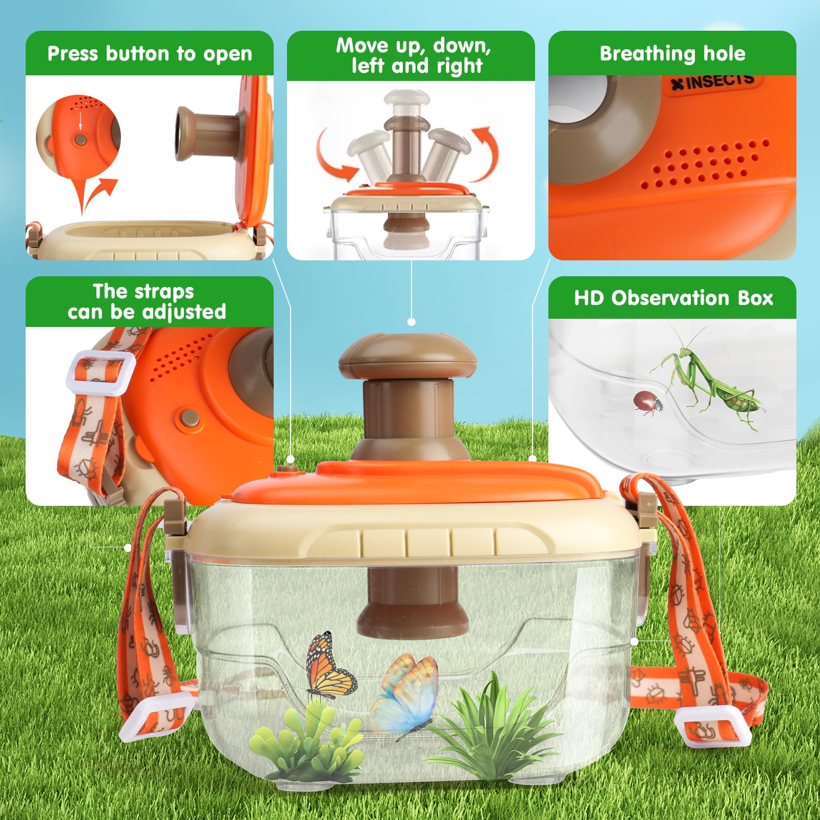 AuntyFey large bug cage keeps captured critters safe with airflow.